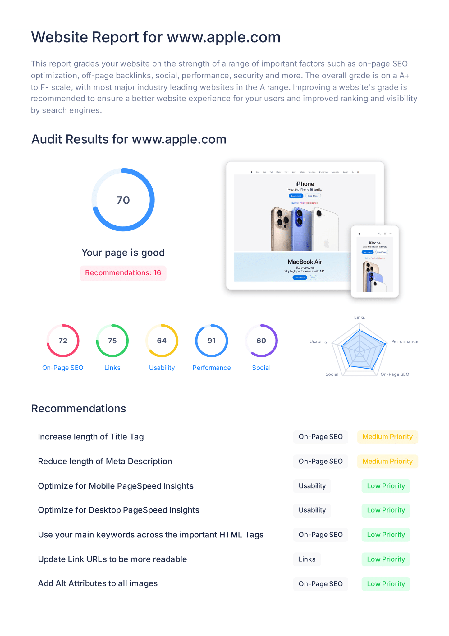 Website Audit PDF